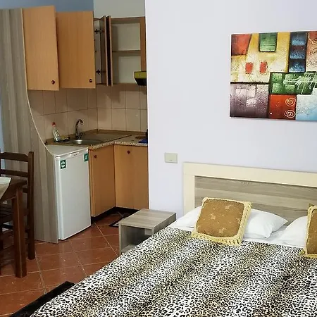 Berti * Vlorë